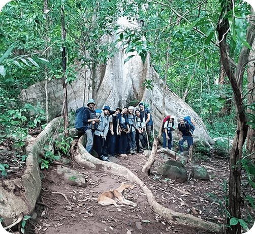 YEP Academy group exploring a forest