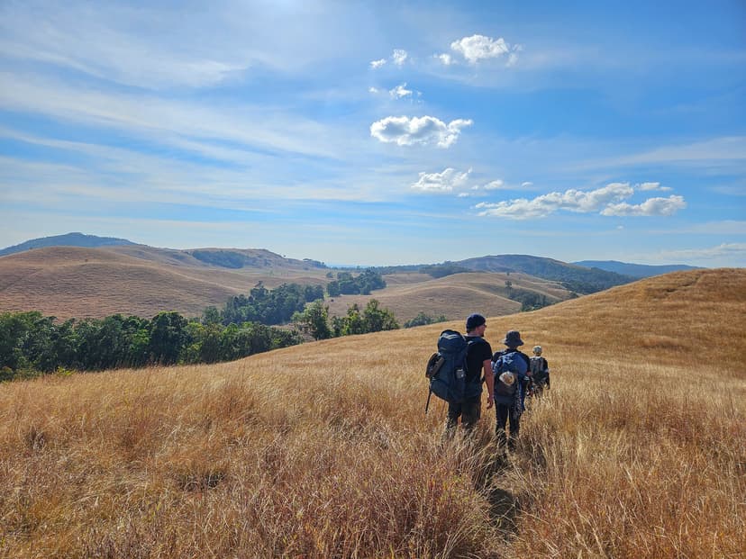 Tour & Expeditions