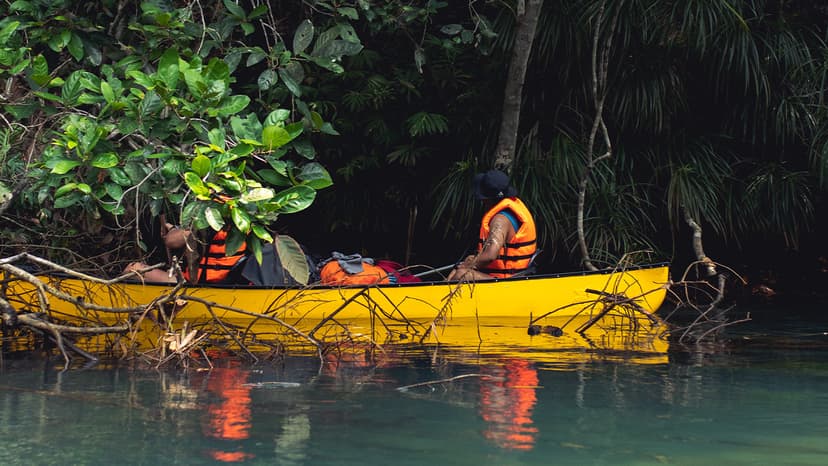 Tour & Expeditions