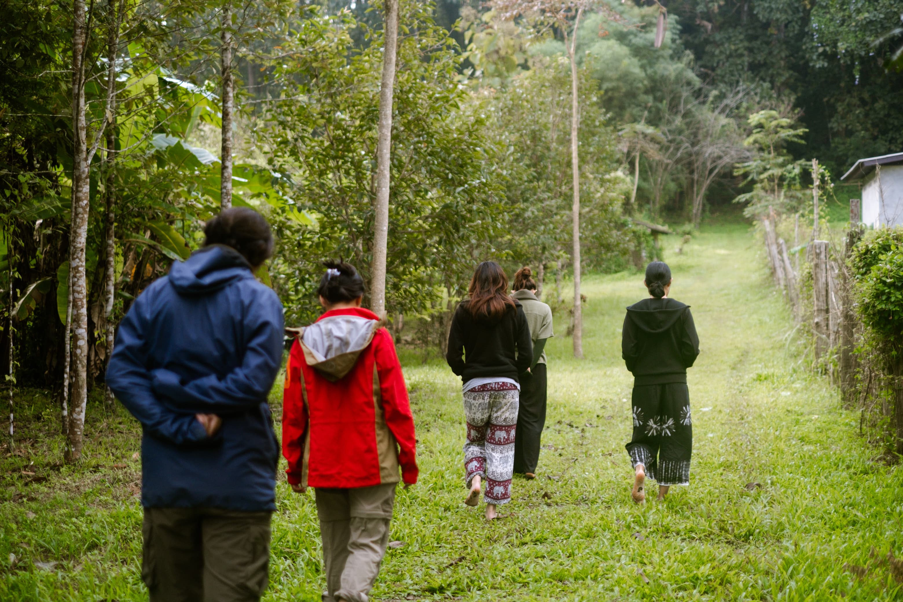 Ecotherapy & Nature-Based Mentoring overview