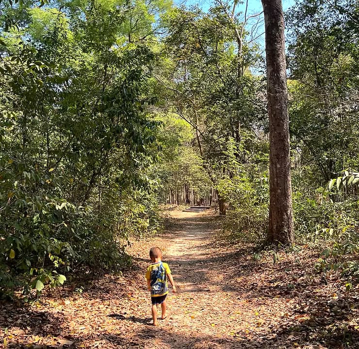 We Chose the Ancient Landscapes of Angkor to Raise Our Child