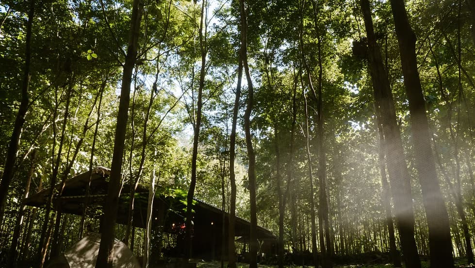 Weekend Reset in Nature